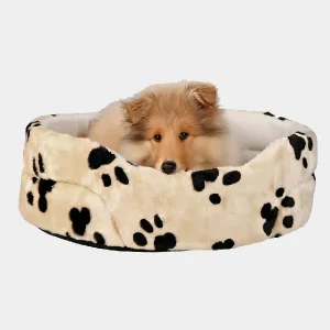 Cama Antideslizante con Estampado de Huellas para Perros Cachorro Shetland Sheepdog descansando en una cama antideslizante para perros con diseño de huellas, confortable y segura