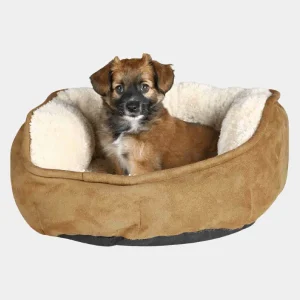 Cachorro Acogedor en Cama Redonda para Mascotas Pequeñas Cachorro pequeño disfrutando de una cama redonda para mascotas con felpa suave y borde de imitación ante