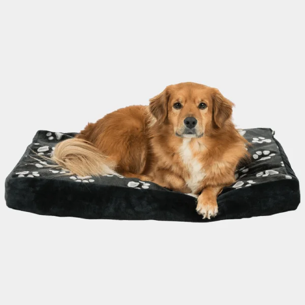 Perro de raza golden retriever tumbado en un cojín de varios tamaños con estampado de huellas, destacando comodidad y adaptabilidadproporcionando comodidad y estilo para el descanso de tu mascota