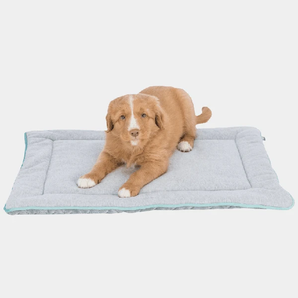 Alt-Text: "Cachorro de raza retriever tumbado cómodamente en una colchoneta lavable para perros en tonos gris claro y menta, destacando la facilidad de limpieza y el confort para la mascota
