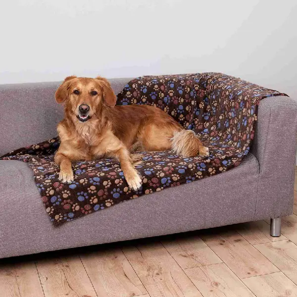 Perro Golden Retriever relajado en un sofá cubierto con una manta de frío para perros con estampado de huellas