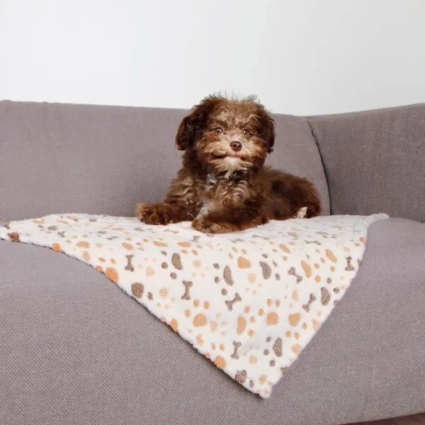 "Cachorro marrón acurrucado en una manta para perros antipelos con estampado de patas, ideal para mantener el sofá libre de pelos
