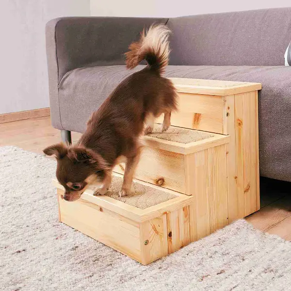 Perro pequeño utilizando una escalera de madera para subir al sofá, ideal para mascotas con problemas de movilidad