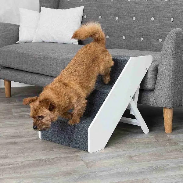 Perro pequeño utilizando una escalera de fieltro gris ajustable para subir al sofá, ideal para la protección de las articulaciones de mascotas con artrosis o artritis