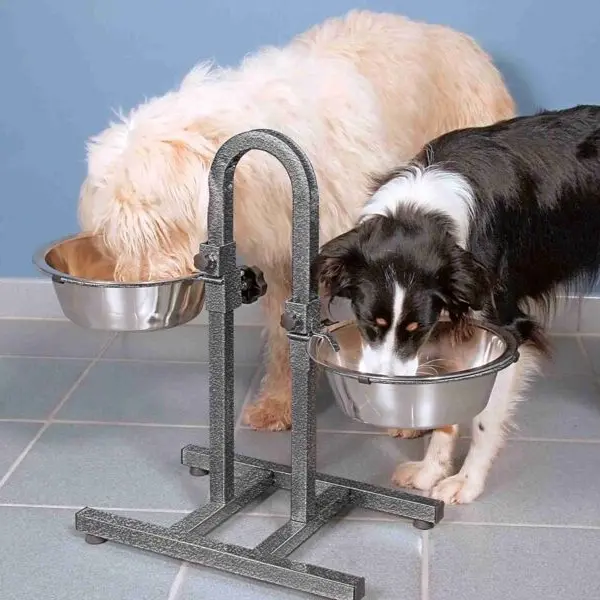 Dos perros grandes utilizando comederos regulables en altura con soporte de metal resistente, ideal para mejorar la postura durante la alimentación