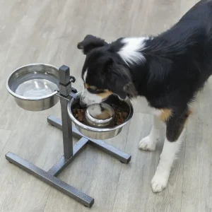 Perro utilizando un comedero bebedero para perros de acero inoxidable con soporte ajustable, promoviendo una alimentación saludable y cómoda