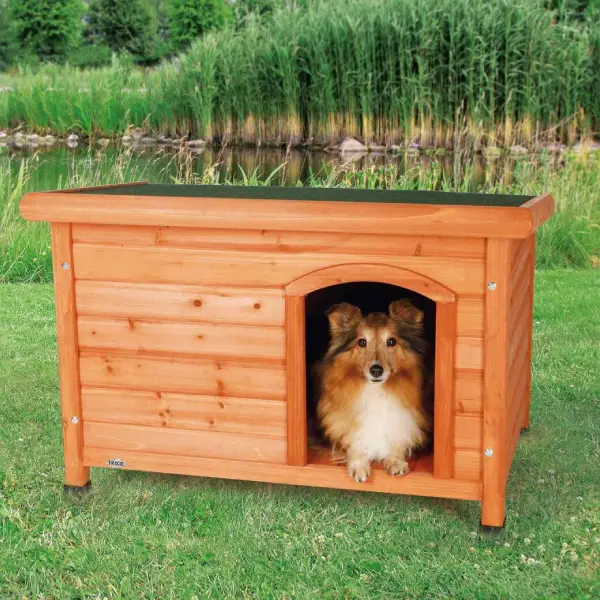 Caseta exterior para perros de madera con techo impermeable y diseño cómodo, mostrando un Shetland Sheepdog en su interior