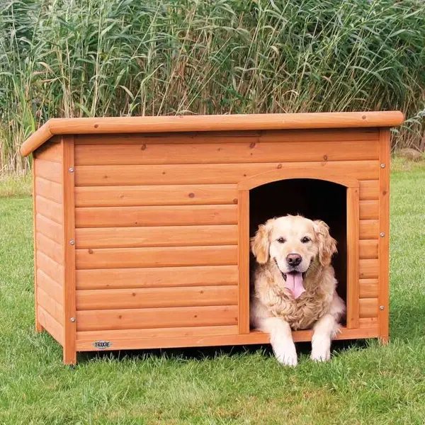 Caseta exterior para perros de madera resistente, con amplio espacio y techo a dos aguas, habitada por un feliz Golden Retriever