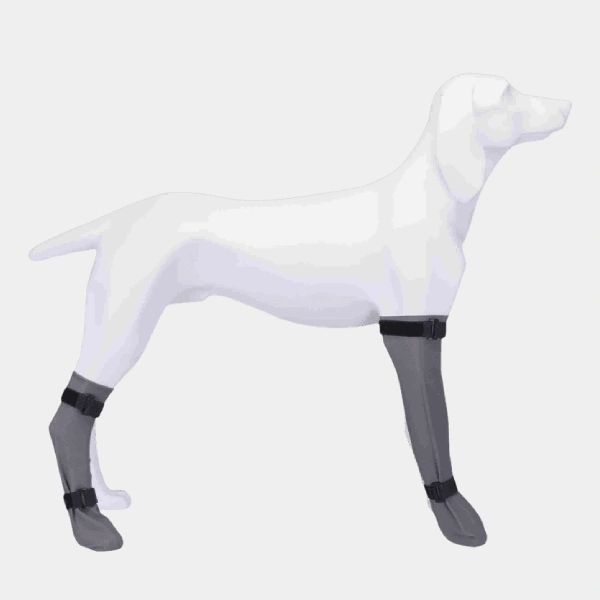 Maniquí de perro blanco con calcetines protectores para perros de silicona gris, diseñados para mantener las patas seguras y limpias