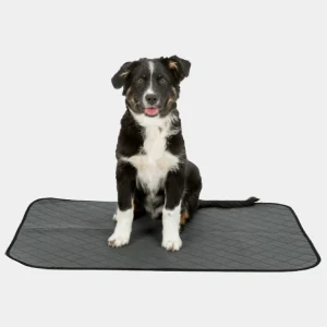 achorro sentado sobre un empapador lavable para perros en color gris, ideal para entrenamiento y perros con incontinencia