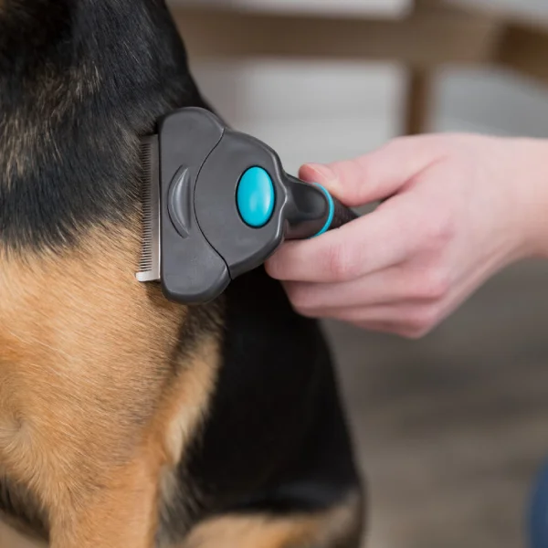 Uso de carda para perros en pelo de pastor alemán, perfecta para eliminar pelo muerto y mantener un pelaje saludable