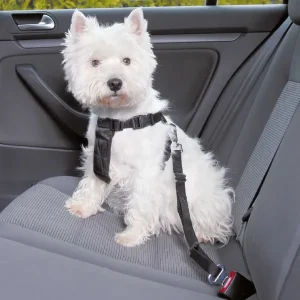 Arnes-Seguro-y-Confortable-para-Transportar-Perros-en-Auto Un West Highland White Terrier blanco está sentado en el asiento trasero de un auto, asegurado con un arnés para llevar perros en el auto, mirando hacia adelante atentamente.