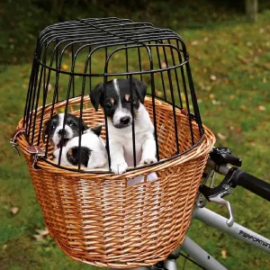 Dos cachorros de Jack Russell disfrutando de un paseo seguro en una cesta de bicicleta mimbre, ideal para llevar perro en bici por el parque