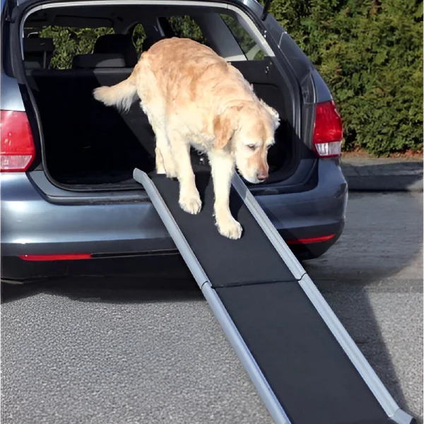 Perro utilizando una rampa plegable para subir al coche, facilitando el acceso sin esfuerzo para mascotas con movilidad reducida o problemas articulares