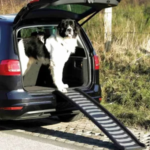 Rampa de Plástico para Autos – Perfecta para Perros Grandes Perro grande utilizando una rampa de plástico para autos para bajar cómodamente del maletero, demostrando la facilidad de uso y la seguridad que ofrece para las mascotas