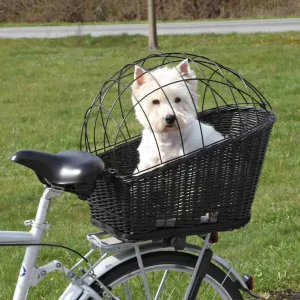 perro-pequeño-blanco-sentado-en-cesta-de-bicicleta-con-rejilla-de-seguridad