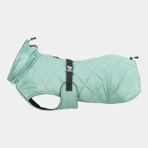 Abrigo impermeable para perro en color verde con diseño acolchado, hebilla de ajuste en el abdomen y cordones ajustables en el cuello y la parte trasera