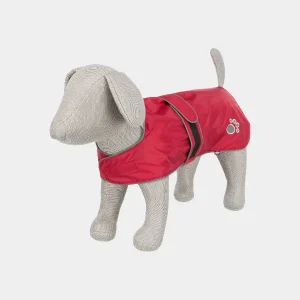 Perro modelo luciendo una capa de agua roja, impermeable, con cierre ajustable en el pecho y detalles reflectantes, diseñada para mantener a las mascotas secas y cómodas bajo la lluvia