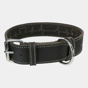 Collar de Cuero Negro para Perros Medianos Trixie con Detalles Elegantes Collar de cuero negro para perros medianos de Trixie con costuras en contraste y hebilla metálica, ideal para estilo y durabilidad