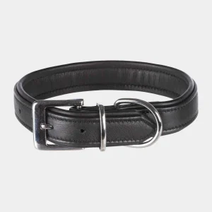 Collar de piel negro para perros medianos con hebilla de metal resistente y diseño acolchado para confort adicional
