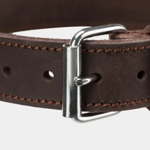 Detalle del Cierre de Hebilla del Collar de Piel Trixie para Perros Vista cercana de la hebilla de metal pulido en un collar de piel Trixie marrón con costuras contrastantes, ofreciendo durabilidad y estilo para perros