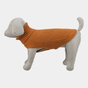 Perro modelo con jersey de lana marrón, diseñado con cuello alto para proporcionar calidez y comodidad durante los días fríos