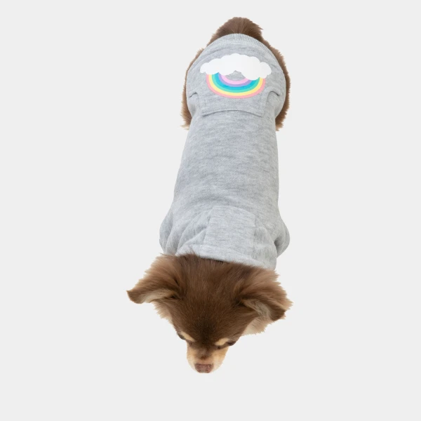 Vista superior de un perro pequeño usando una sudadera gris con capucha y un diseño de arcoíris en el lomo. Ideal para mantener a tu mascota abrigada y a la moda