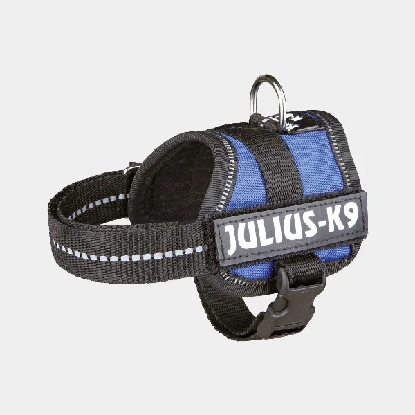 Arnes Julius K-9 en color azul con partes reflectantes, diseñado para ofrecer comodidad, seguridad y estilo durante los paseos con tu perro