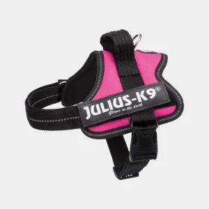 Arnes Julius K-9 en color fucsia con partes reflectantes, perfecto para la comodidad y seguridad de tu perro