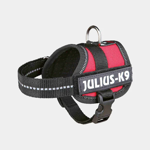 Arnes Julius K-9 en color rojo con partes reflectantes, diseñado para proporcionar seguridad, comodidad y estilo en los paseos con tu perro
