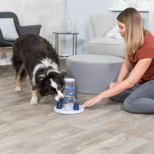Juego de inteligencia para perros diversión y aprendizaje en casa Mujer jugando con su perro utilizando un juego de inteligencia para perros en una sala de estar