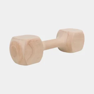 Juguetes de entretenimiento para perros: imagen de un juguete de madera resistente, ideal para mantener a tu mascota activa y feliz