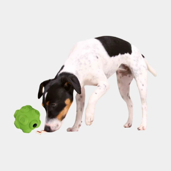 Perro jugando con una pelota verde con comida en su interior, hecha de caucho natural, diseñada para estimular mentalmente y mantener entretenido a tu perro