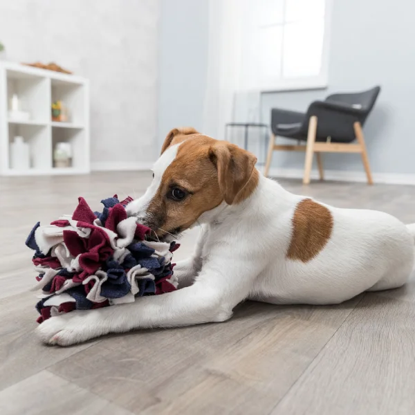 Perro pequeño jugando con una pelota de olfato para perros hecha de poliéster con borlas de diferentes longitudes y colores
