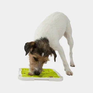 Perro disfrutando de su plato para lamer entretenimiento y tranquilidad Perro blanco con manchas marrones lamiendo un plato para lamer verde y blanco