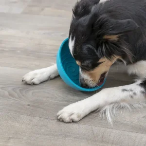 Perro lamiendo un cuenco de silicona azul Lick Snack, disfrutando de una experiencia relajante y entretenida