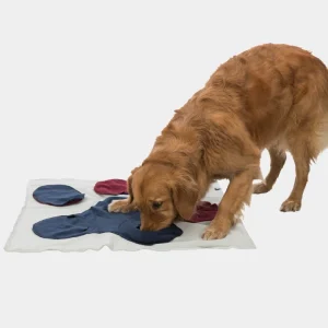 imagen de un perro explorando una alfombra de poliéster con bolsillos y compartimentos en colores azul y burdeos