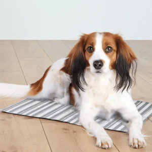 Perro descansando sobre una alfombra fresca con diseño a rayas, ideal para mantener a las mascotas frescas y cómodas en días calurosos