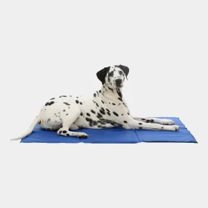 Perro dálmata descansando sobre una alfombra refrescante azul, ideal para mantener a las mascotas frescas y cómodas en días calurosos