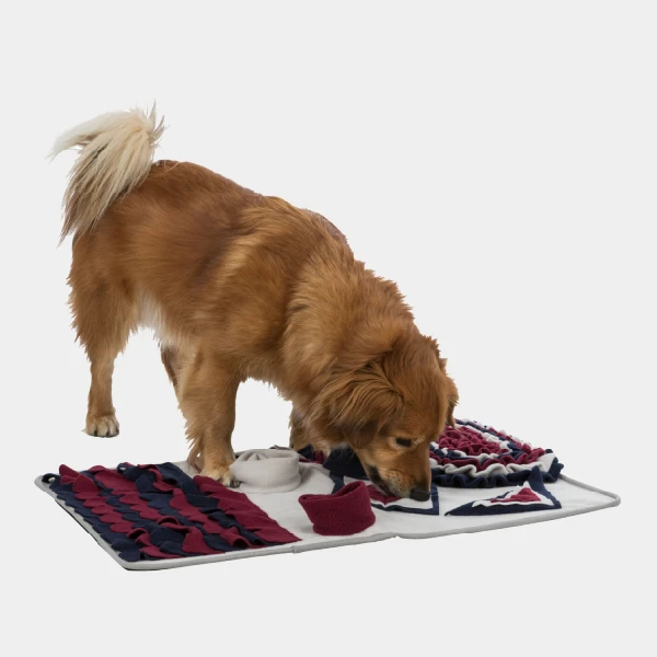 Perro explorando y jugando con la alfombra DogActivity, diseñada para estimulación mental y búsqueda de snacks