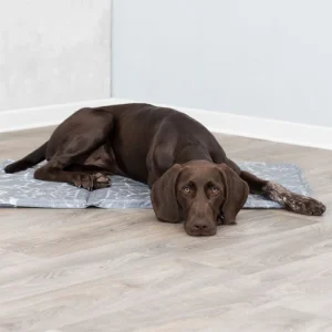 Perro marrón descansando cómodamente en una alfombra fría para perros, diseñada para mantener a las mascotas frescas en días calurosos. Ideal para el hogar