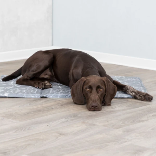 Perro marrón descansando cómodamente en una alfombra fría para perros, diseñada para mantener a las mascotas frescas en días calurosos. Ideal para el hogar