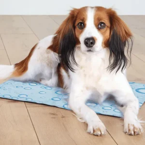 Perro tumbado cómodamente sobre una alfombra de enfriamiento para perros con diseño de gotas de agua, ideal para mantener a las mascotas frescas durante el verano.