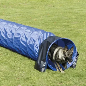 Perro Pastor Alemán corriendo a través de un Túnel de Agility azul en el jardín, ideal para entrenamiento y ejercicio