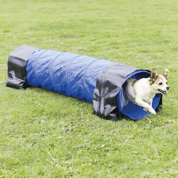 Perro corriendo a través de un túnel de entrenamiento para perros azul y negro en un campo de césped, mostrando el uso del túnel para ejercicios de agilidad y juego al aire libre