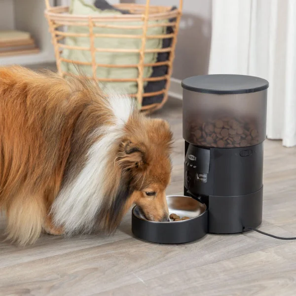 Perro disfrutando de su comida servida por un dispensador de comida para perros programable, mostrando la funcionalidad automática del dispositivo en un entorno doméstico