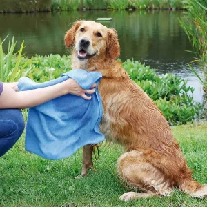 Perro siendo secado con una toalla de microfibra azul, ideal para un secado rápido y eficiente después de actividades al aire libre