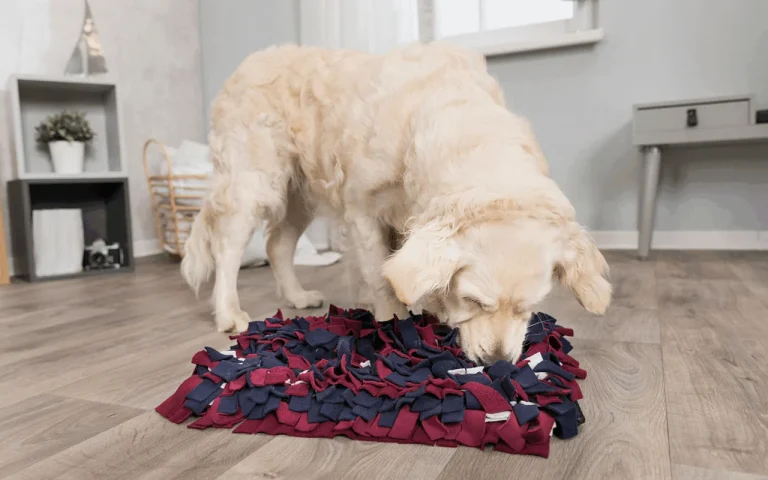 Perro usando una alfombra olfativa como ejercicio de estimulación mental en casa, promoviendo su desarrollo cognitivo